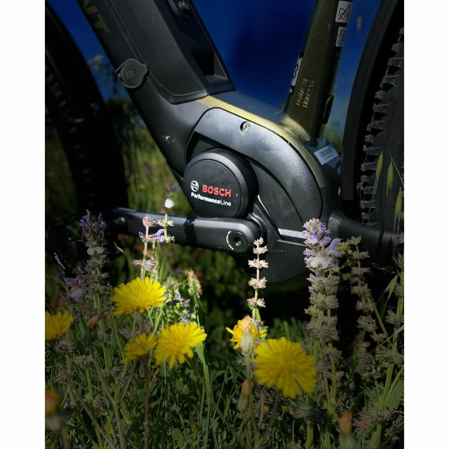 Vélo Tout Chemins Bergamont 4 Vélo Tout Chemins Bergamont – Image 2