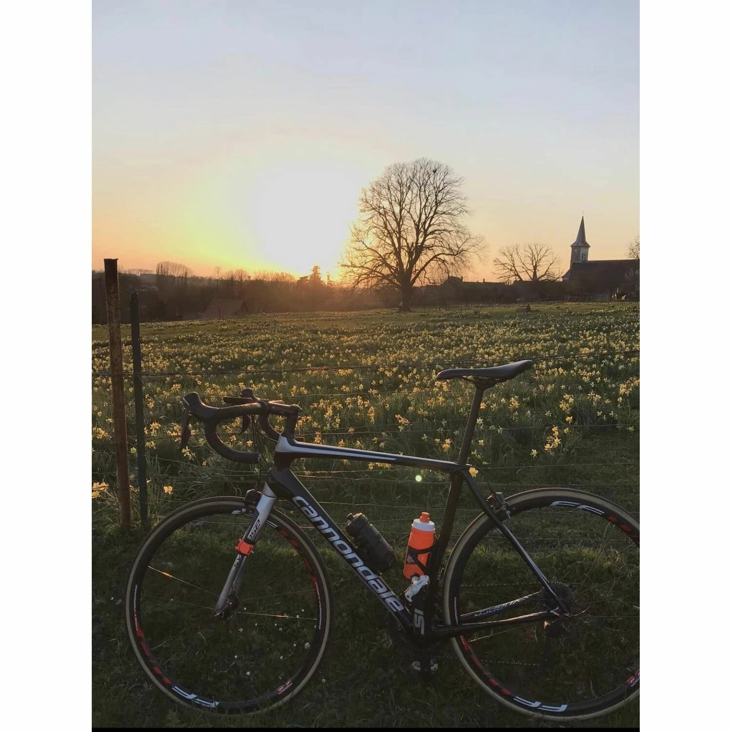 Vélo De Course Cannondale Synapse - 56 7 Vélo De Course Cannondale Synapse - 56 – Image 5