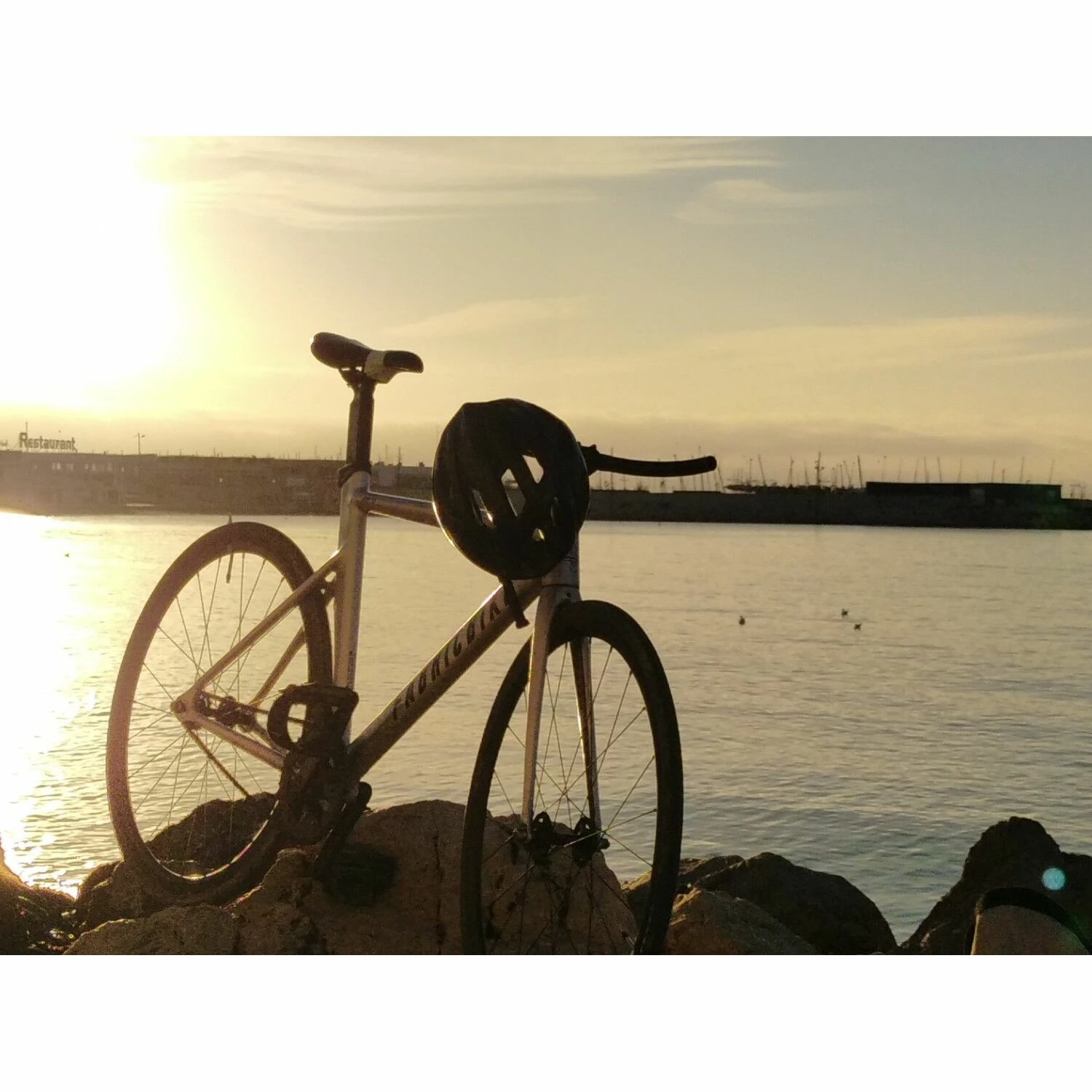 Vélo De Piste Fabric - 52 4 Vélo De Piste Fabric - 52 – Image 2