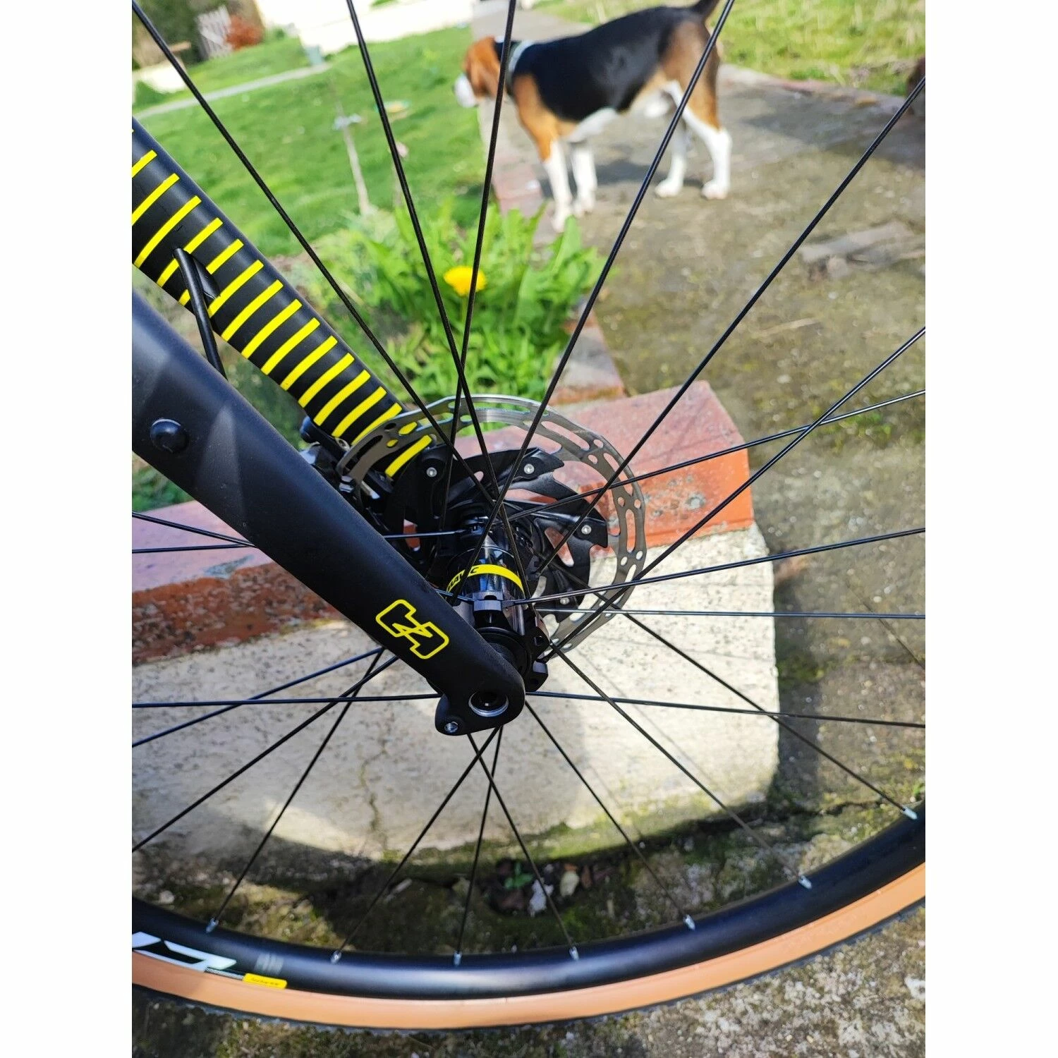 Ns-bikes Vélo De Gravel Ns Bikes - 56 - 700c 6 Ns-bikes Vélo De Gravel Ns Bikes - 56 - 700c – Image 4