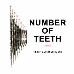 Roue Libre à 8 Vitesses BOLANY VTT 8 Vitesses Roue Libre Vélo 11-36T Cassette Volant Pour SRAM HB044 - Avis / Test