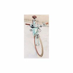 Vélo Urbain Gazelle -Accessoires auto pour vélo Boutique velo de ville 2