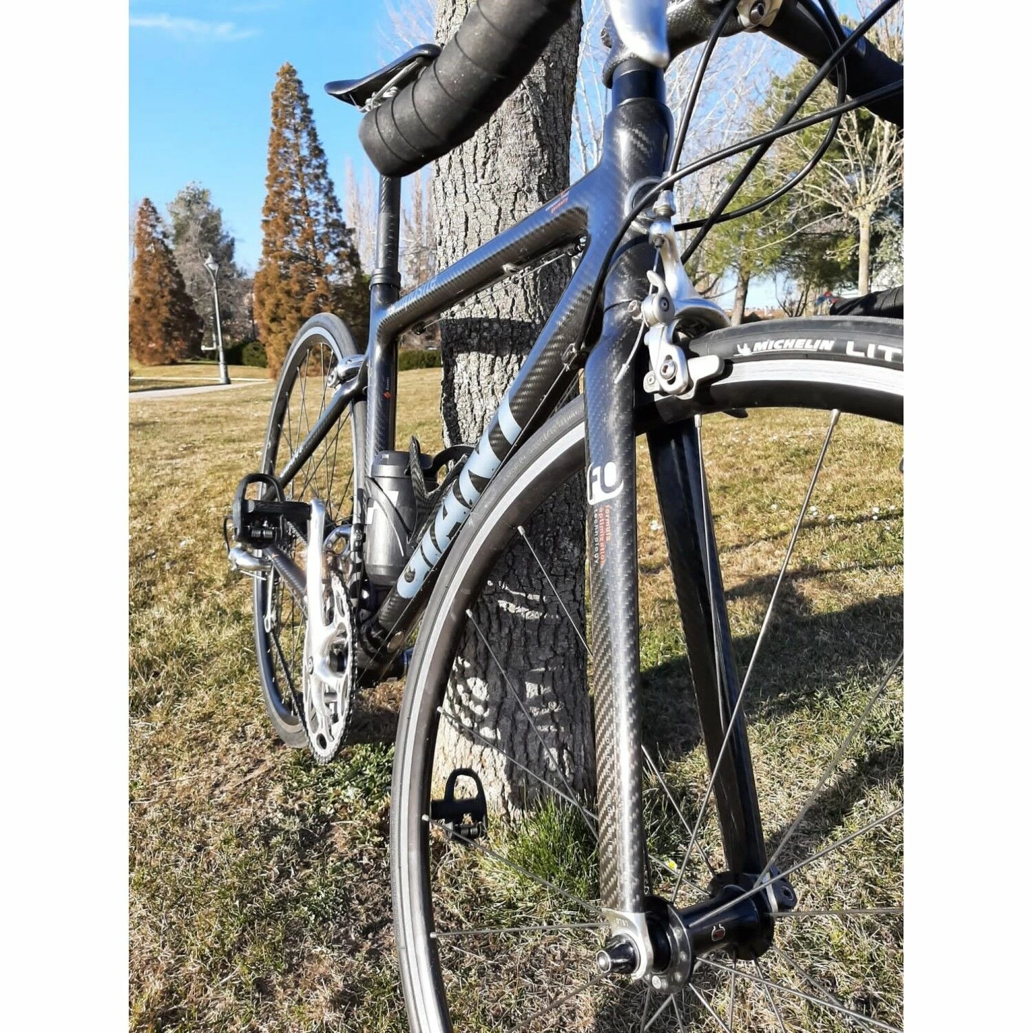 Vélo De Course Giant - 50 - 28" 3 Vélo De Course Giant - 50 - 28"