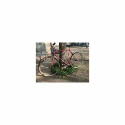 Vélo Urbain Autre Marque -Accessoires auto pour vélo Boutique velo ville single speed ginet 2